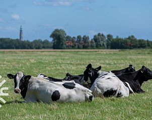 Luchtfoto van vakantiehuis ZE135 in Grijpskerke, Walcheren, omgeven door natuur.