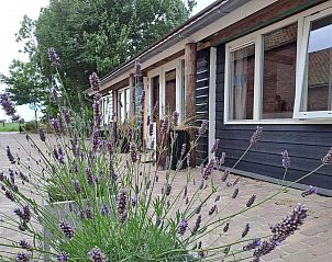Verblijf 622435 • Vakantiewoning Walcheren • VZ494 Vakantiehuis Grijpskerke 