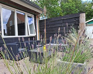 Guest house 622435 - Holiday property Walcheren - VZ494 Vakantiehuis Grijpskerke