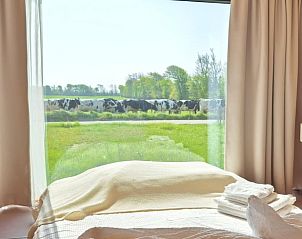 Guest house 622438 - Holiday property Walcheren - Vakantiehuis in Grijpskerke