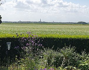 Sfeervol terras bij vakantiehuis ZE143 Gapinge Walcheren met kaarsen en planten.