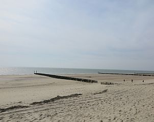 Unterkunft 623017 - Ferienhaus Walcheren - Slaapstrandhuisje - Strand dishoek 68  Dishoek