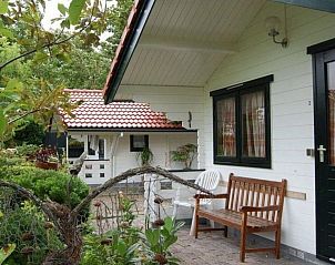 Tuin van VZ2319 Natuurhuisje in Koudekerke-Dishoek met bankje en groene planten in Walcheren, Zeeland.