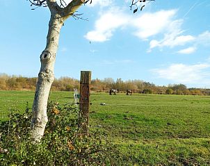 Uitzicht over weiland nabij VZ729 Appartement in Koudekerke, landelijke omgeving in Dishoek, Walcheren, Zeeland.