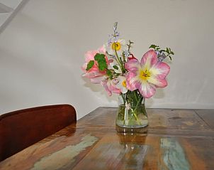 Unterkunft 623101 - Ferienhaus Walcheren - Vakantiehuis in Nieuw en Sint Joosland