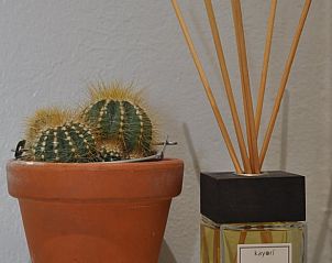 Unterkunft 623102 - Ferienhaus Walcheren - Vakantiehuis in Nieuw- en Sint Joosland