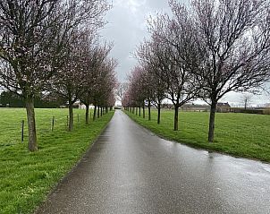 Guest house 630133 - Holiday property Zeeuws-Vlaanderen - VZ972 Vakantieappartement in Breskens