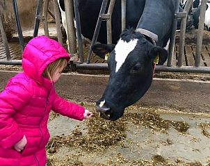 Guest house 630133 - Holiday property Zeeuws-Vlaanderen - VZ972 Vakantieappartement in Breskens