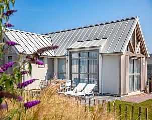 Guest house 6303100 - Holiday property Zeeuws-Vlaanderen - Beach Resort Nieuwvliet-Bad 2