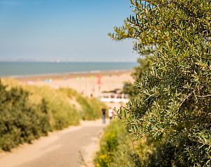 Guest house 6303101 - Holiday property Zeeuws-Vlaanderen - Beach Resort Nieuwvliet-Bad 3