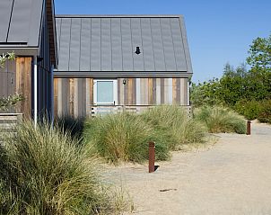 Guest house 630318 - Holiday property Zeeuws-Vlaanderen - Beach Lodge 4