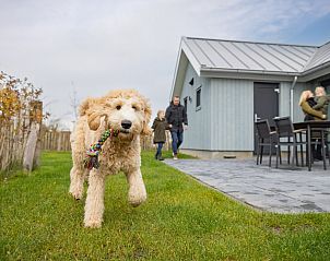 Verblijf 630359 • Vakantiewoning Zeeuws-Vlaanderen • Hondenlodge 6 