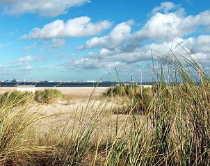 Guest house 630363 - Holiday property Zeeuws-Vlaanderen - Huisje in Nieuwvliet-Bad