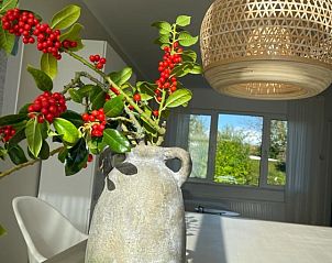 Guest house 630379 - Bungalow Zeeuws-Vlaanderen - Nieuwvliet Ferienhaus #7