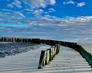 Guest house 630379 - Bungalow Zeeuws-Vlaanderen - Nieuwvliet Ferienhaus #7