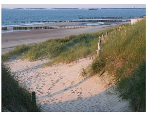 Guest house 630397 - Holiday property Zeeuws-Vlaanderen - 293565