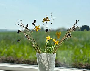 Guest house 630702 - Holiday property Zeeuws-Vlaanderen - Vakantiehuis in Schoondijke