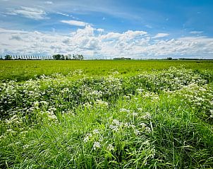 Guest house 630707 - Holiday property Zeeuws-Vlaanderen - Vakantiehuisje in Schoondijke