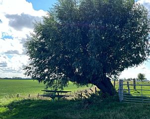 Guest house 630707 - Holiday property Zeeuws-Vlaanderen - Vakantiehuisje in Schoondijke