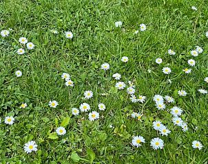 Guest house 630707 - Holiday property Zeeuws-Vlaanderen - Vakantiehuisje in Schoondijke