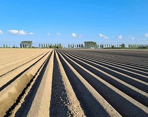 Guest house 630708 - Holiday property Zeeuws-Vlaanderen - Vakantiehuis in Schoondijke