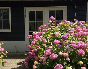 Guest house 630709 - Holiday property Zeeuws-Vlaanderen - Vakantiehuis in Schoondijke