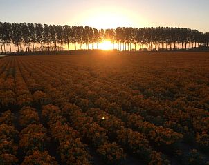 Guest house 630709 - Holiday property Zeeuws-Vlaanderen - Vakantiehuis in Schoondijke