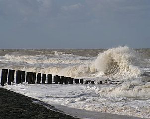 Guest house 630709 - Holiday property Zeeuws-Vlaanderen - Vakantiehuis in Schoondijke