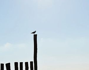 Guest house 630709 - Holiday property Zeeuws-Vlaanderen - Vakantiehuis in Schoondijke