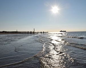 Guest house 630709 - Holiday property Zeeuws-Vlaanderen - Vakantiehuis in Schoondijke