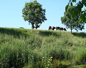 Guest house 630709 - Holiday property Zeeuws-Vlaanderen - Vakantiehuis in Schoondijke