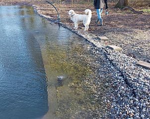 Guest house 631103 - Holiday property Zeeuws-Vlaanderen - Vakantiehuisje in Graauw