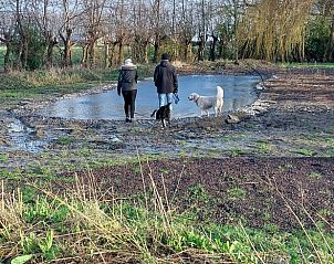 Guest house 631103 - Holiday property Zeeuws-Vlaanderen - Vakantiehuisje in Graauw