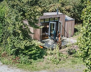 Guest house 631108 - Holiday property Zeeuws-Vlaanderen - Vakantiehuisje in Graauw