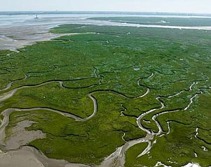 Guest house 631108 - Holiday property Zeeuws-Vlaanderen - Vakantiehuisje in Graauw