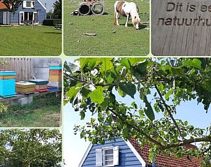 Guest house 631305 - Holiday property Zeeuws-Vlaanderen - Vakantiehuis in Sluis