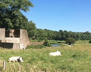 Guest house 631305 - Holiday property Zeeuws-Vlaanderen - Vakantiehuis in Sluis