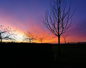 Guest house 631305 - Holiday property Zeeuws-Vlaanderen - Vakantiehuis in Sluis