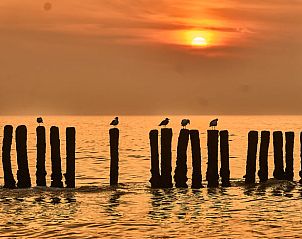 Guest house 631305 - Holiday property Zeeuws-Vlaanderen - Vakantiehuis in Sluis