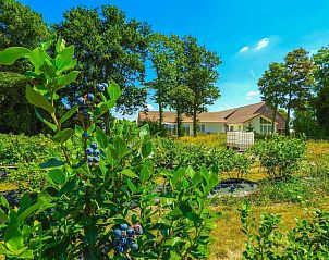 Guest house 631311 - Holiday property Zeeuws-Vlaanderen - VZ206 Vakantiehuisje Sluis