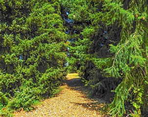 Guest house 631311 - Holiday property Zeeuws-Vlaanderen - VZ206 Vakantiehuisje Sluis