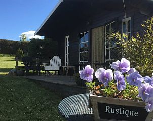 Guest house 631403 - Holiday property Zeeuws-Vlaanderen - Vakantiehuis in Groede