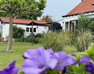 Guest house 631408 - Holiday property Zeeuws-Vlaanderen - Vakantiehuis in Groede