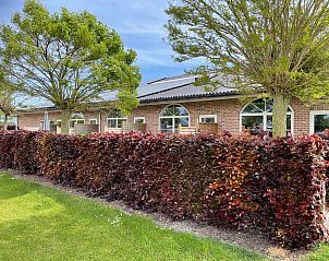 Guest house 631429 - Apartment Zeeuws-Vlaanderen - Het Platte Putje - Huisdier - nr1