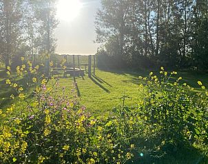 Guest house 631431 - Holiday property Zeeuws-Vlaanderen - Huisje in Groede