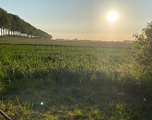 Guest house 631431 - Holiday property Zeeuws-Vlaanderen - Huisje in Groede