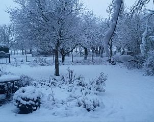 Unterkunft 631609 - Ferienhaus Zeeuws-Vlaanderen - Huisje in Nieuwvliet