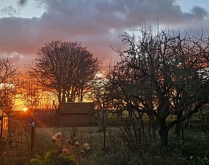 Unterkunft 631613 - Ferienhaus Zeeuws-Vlaanderen - Vakantiehuis in Nieuwvliet