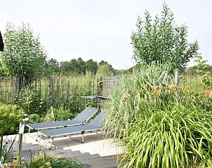 Unterkunft 631647 - Ferienhaus Zeeuws-Vlaanderen - Duinzicht II