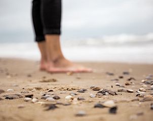 Guest house 631650 - Holiday property Zeeuws-Vlaanderen - Vakantiehuis NV 10 - Beach Resort Nieuwvliet Bad